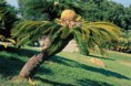 /album/fotogaleria/images-4-jpg/